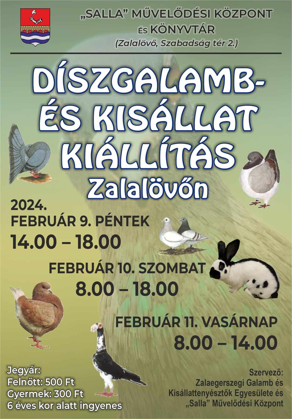 Díszgalamb és kisállat kiállítás Zalalövőn